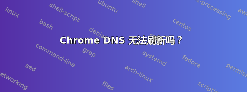 Chrome DNS 无法刷新吗？