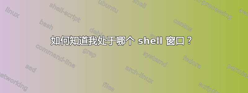 如何知道我处于哪个 shell 窗口？