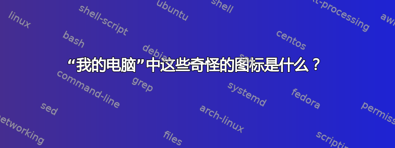 “我的电脑”中这些奇怪的图标是什么？