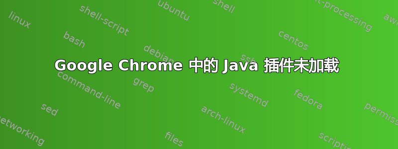 Google Chrome 中的 Java 插件未加载