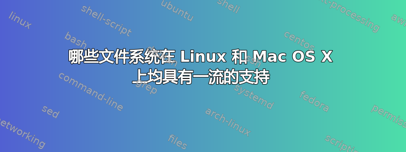 哪些文件系统在 Linux 和 Mac OS X 上均具有一流的支持