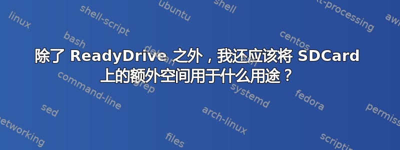 除了 ReadyDrive 之外，我还应该将 SDCard 上的额外空间用于什么用途？