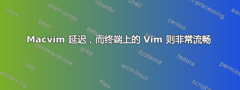 Macvim 延迟，而终端上的 Vim 则非常流畅