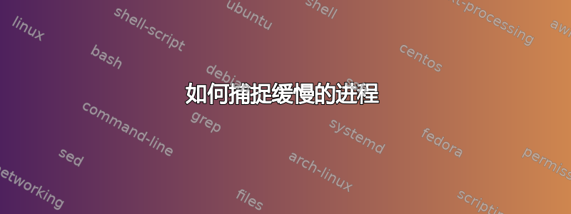 如何捕捉缓慢的进程