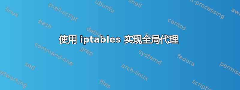 使用 iptables 实现全局代理