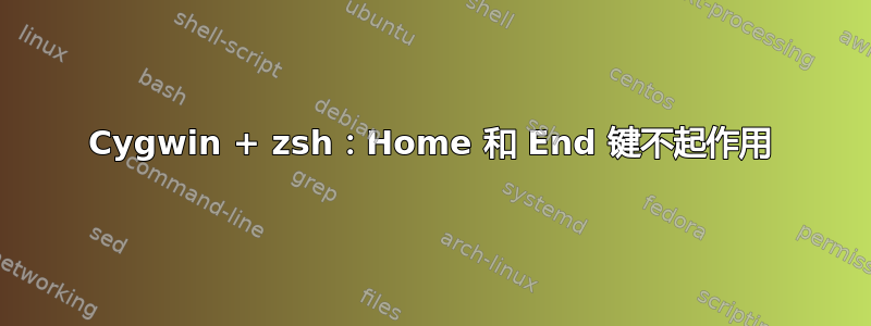 Cygwin + zsh：Home 和 End 键不起作用