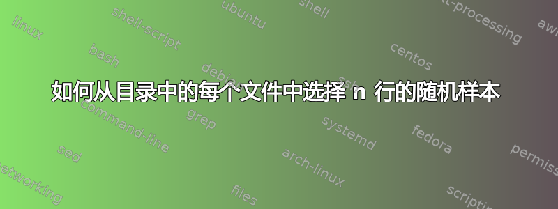 如何从目录中的每个文件中选择 n 行的随机样本