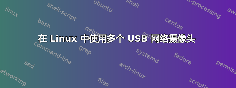 在 Linux 中使用多个 USB 网络摄像头