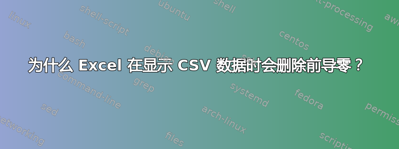 为什么 Excel 在显示 CSV 数据时会删除前导零？