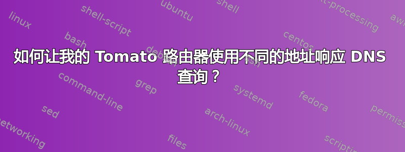 如何让我的 Tomato 路由器使用不同的地址响应 DNS 查询？