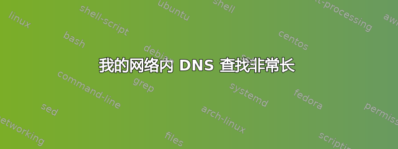 我的网络内 DNS 查找非常长