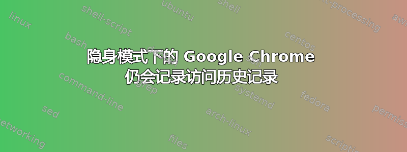 隐身模式下的 Google Chrome 仍会记录访问历史记录