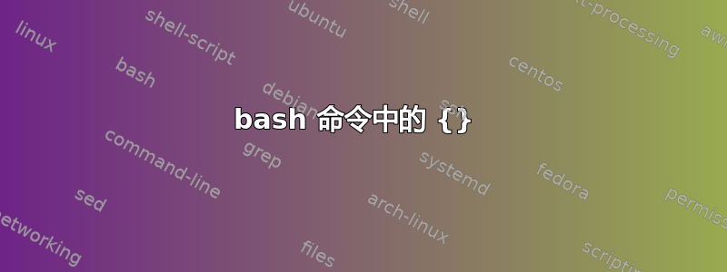 bash 命令中的 {} 