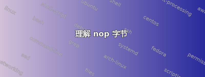 理解 nop 字节