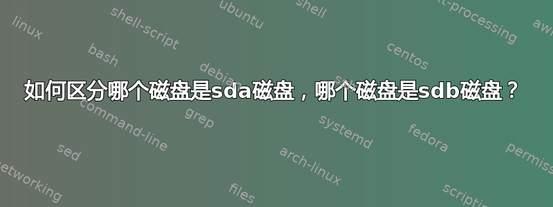 如何区分哪个磁盘是sda磁盘，哪个磁盘是sdb磁盘？