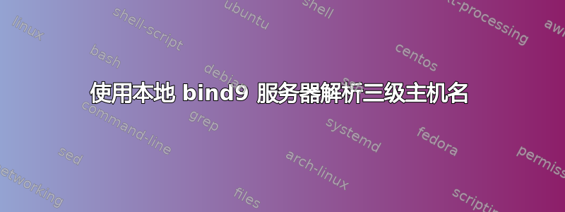 使用本地 bind9 服务器解析三级主机名