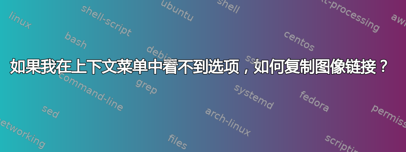 如果我在上下文菜单中看不到选项，如何复制图像链接？