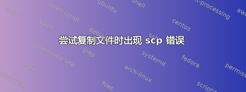 尝试复制文件时出现 scp 错误