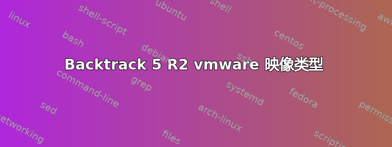 Backtrack 5 R2 vmware 映像类型