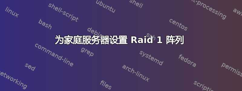 为家庭服务器设置 Raid 1 阵列