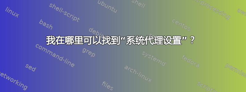 我在哪里可以找到“系统代理设置”？