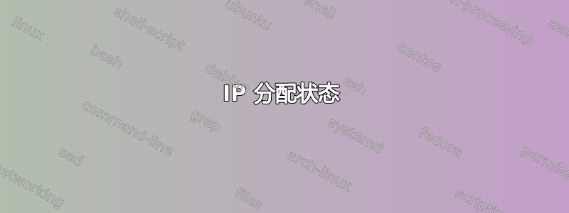 IP 分配状态