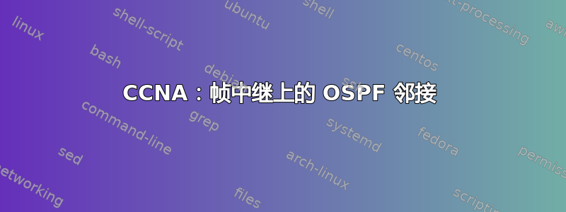 CCNA：帧中继上的 OSPF 邻接