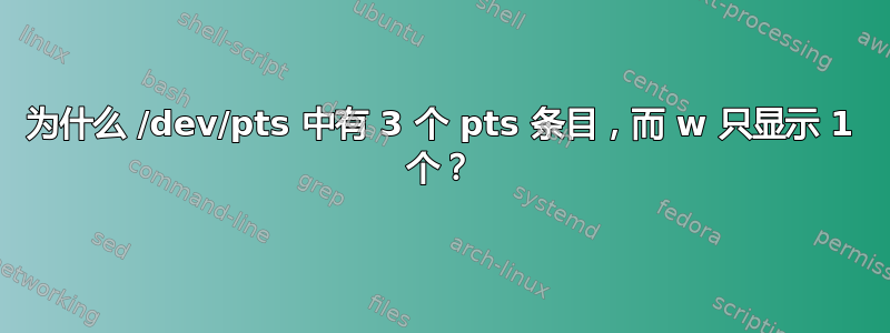 为什么 /dev/pts 中有 3 个 pts 条目，而 w 只显示 1 个？