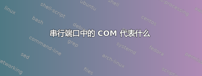 串行端口中的 COM 代表什么