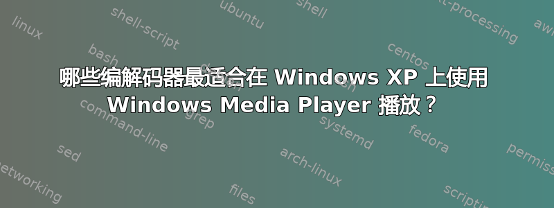 哪些编解码器最适合在 Windows XP 上使用 Windows Media Player 播放？