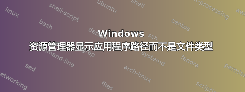 Windows 资源管理器显示应用程序路径而不是文件类型