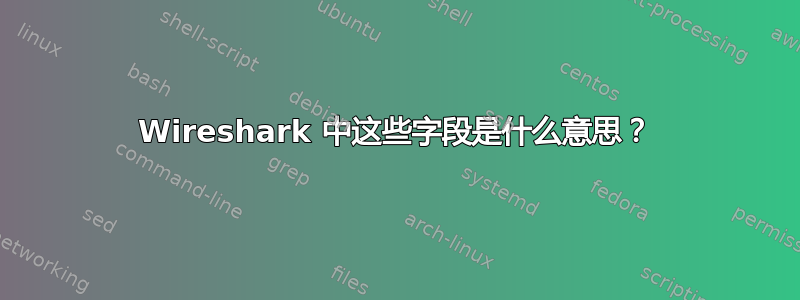 Wireshark 中这些字段是什么意思？