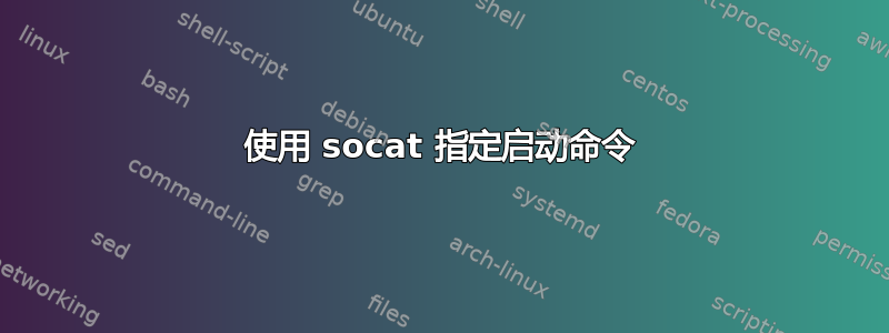 使用 socat 指定启动命令