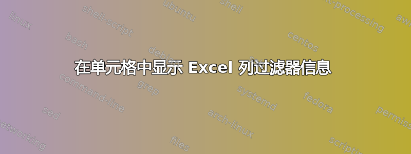 在单元格中显示 Excel 列过滤器信息