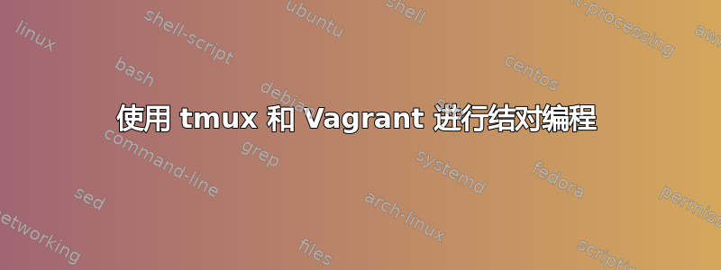 使用 tmux 和 Vagrant 进行结对编程