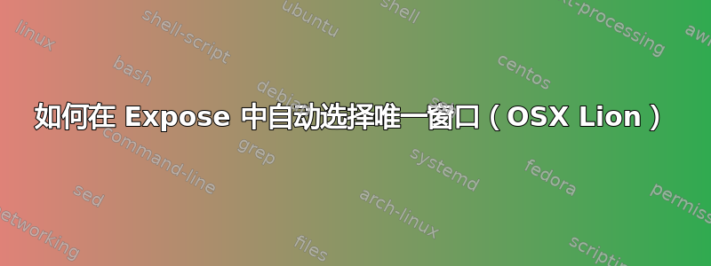 如何在 Expose 中自动选择唯一窗口（OSX Lion）