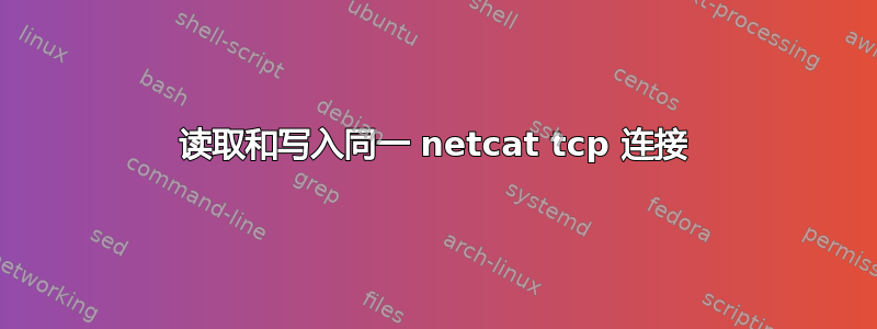 读取和写入同一 netcat tcp 连接