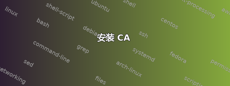 安装 CA