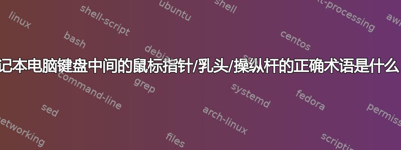 笔记本电脑键盘中间的鼠标指针/乳头/操纵杆的正确术语是什么？