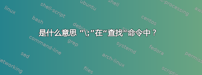 是什么意思 ”\;”在“查找”命令中？ 