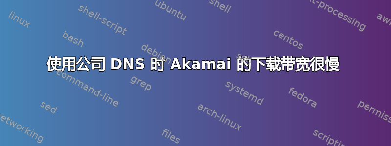 使用公司 DNS 时 Akamai 的下载带宽很慢