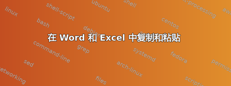 在 Word 和 Excel 中复制和粘贴