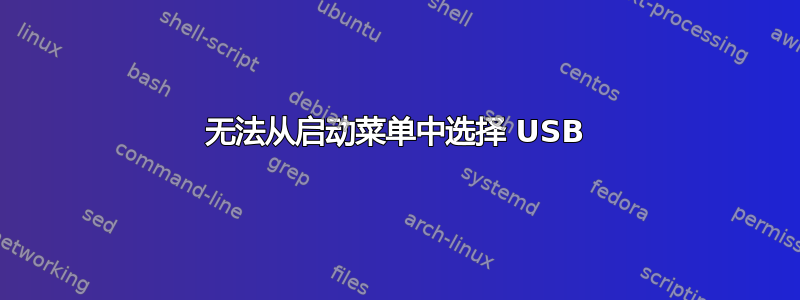 无法从启动菜单中选择 USB