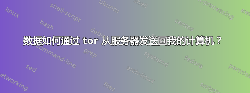 数据如何通过 tor 从服务器发送回我的计算机？