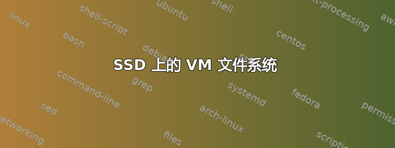 SSD 上的 VM 文件系统