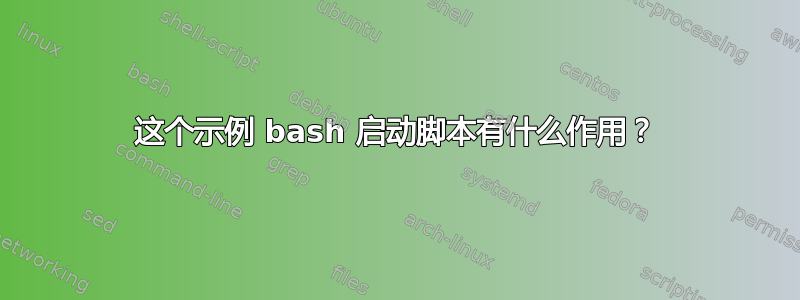 这个示例 bash 启动脚本有什么作用？