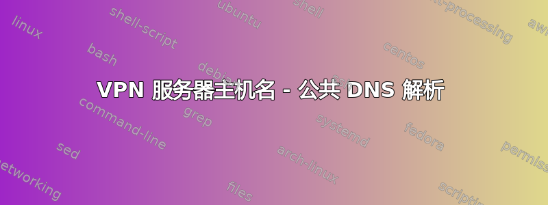 VPN 服务器主机名 - 公共 DNS 解析