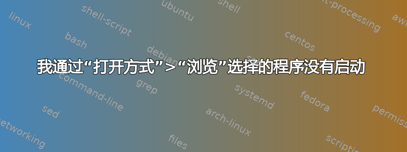 我通过“打开方式”>“浏览”选择的程序没有启动