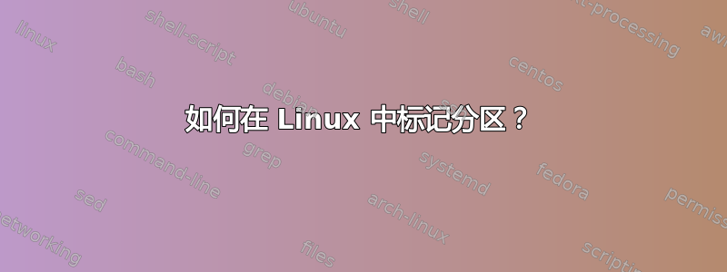 如何在 Linux 中标记分区？