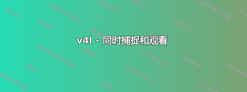 v4l - 同时捕捉和观看